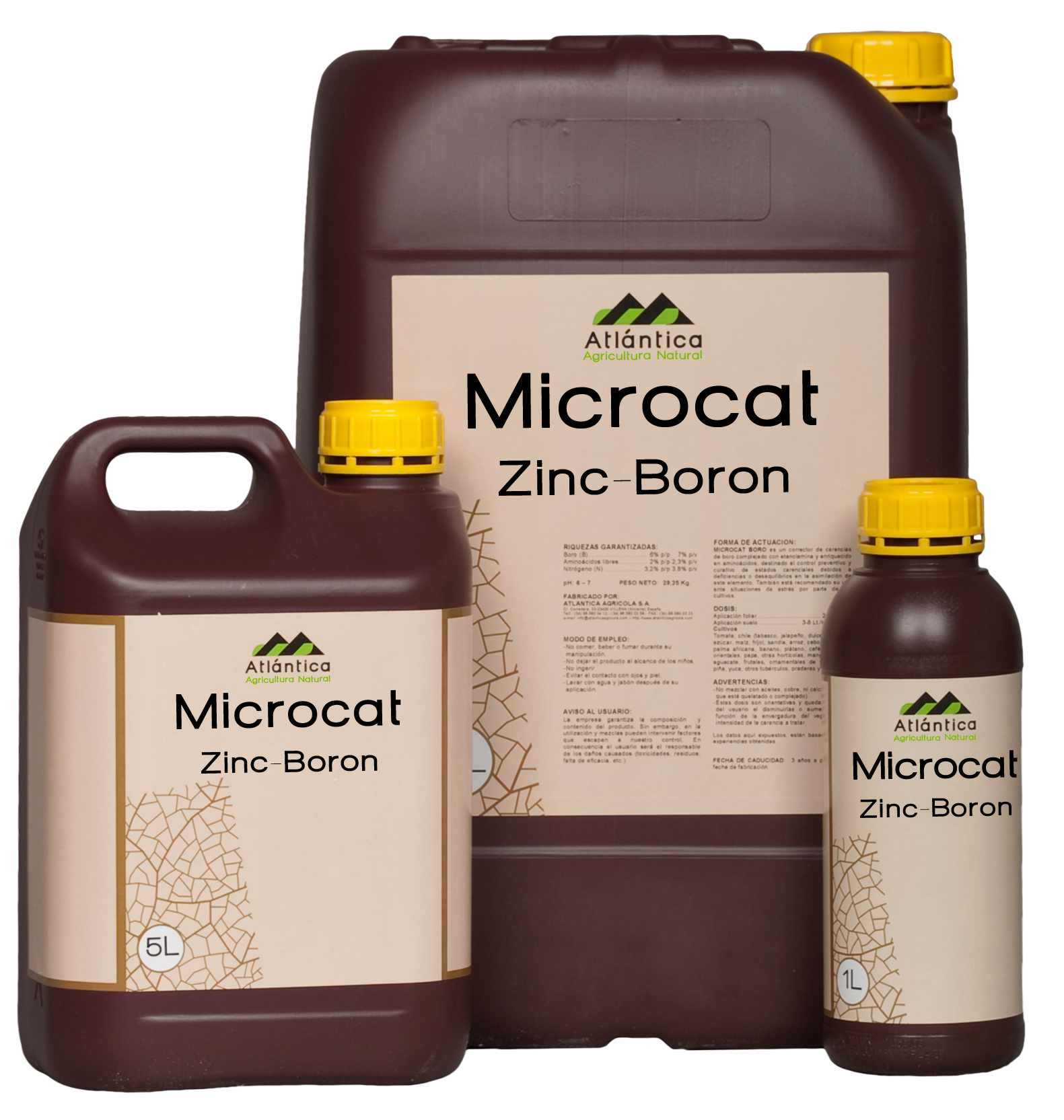 Plante ornamentale Microcat Zn-B