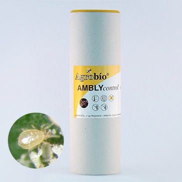 Control biologic al daunatorilor plante Amblycontrol Control biologic al daunatorilor plante Amblycontrol